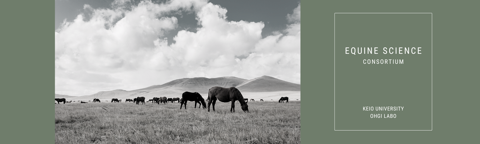 Equine Science Consortium